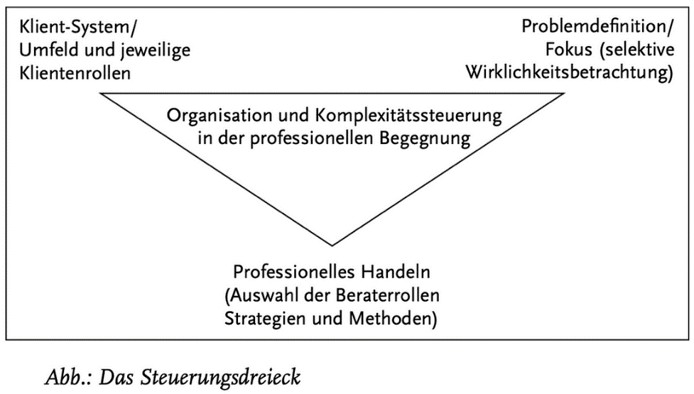 Quelle: Kannicht, A. (2021, 23. November). Steuerungsdreieck. Lexikon des systemischen Arbeitens. https://www.carl-auer.de/magazin/systemisches-lexikon/steuerungsdreieck 
